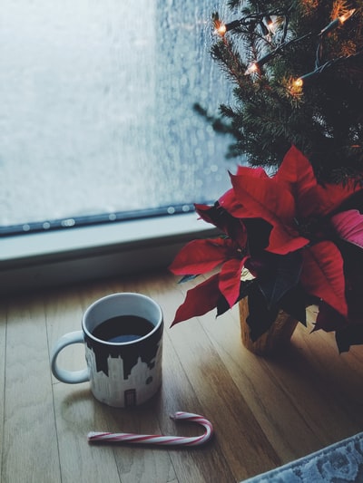 窗边圣诞树旁的一杯咖啡
